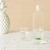 Acquista online Balvi borosilicate glass water bottle Turtle L. 1,2 Coppari